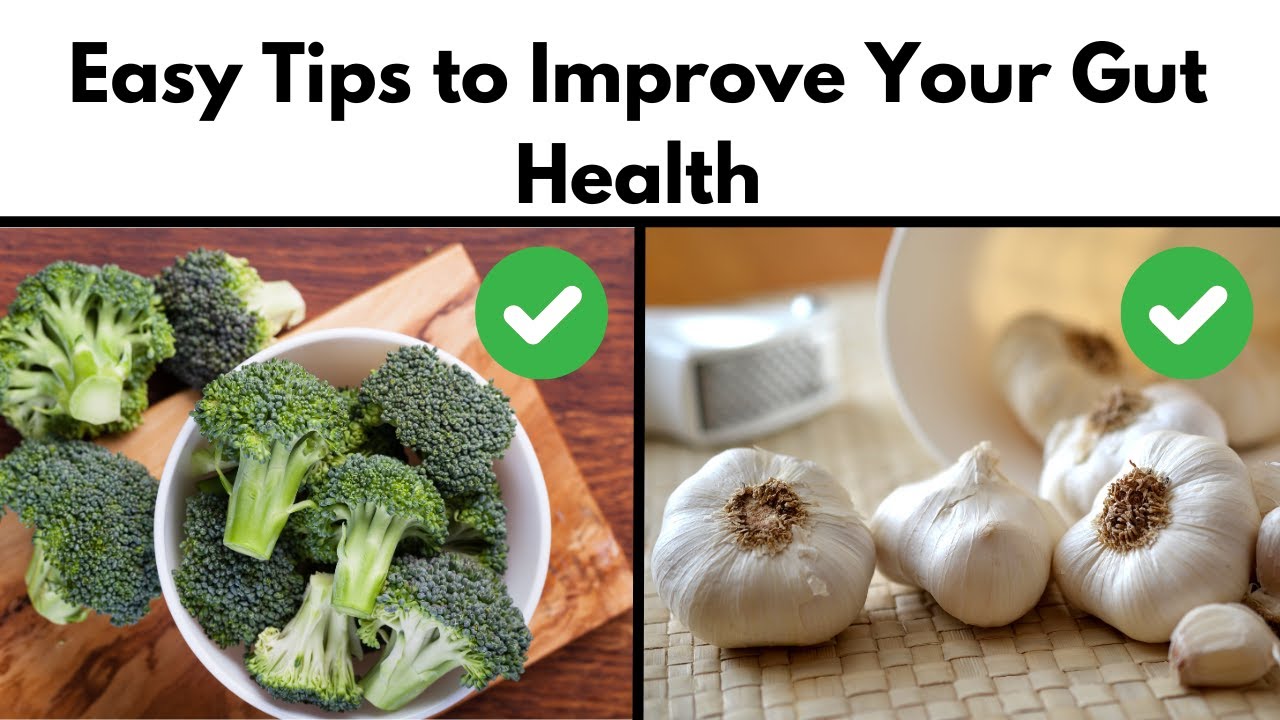Tips for a Healthy Gut 🌿 Improve your Gut Health TODAY! - YouTube