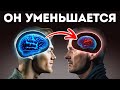 40+ самых необычных и загадочных фактов о человеческом теле