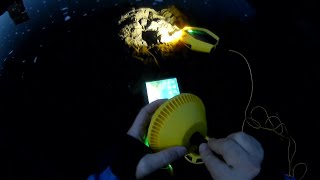CHASING DORY NIGHT VIDEO LED LAMP TEST