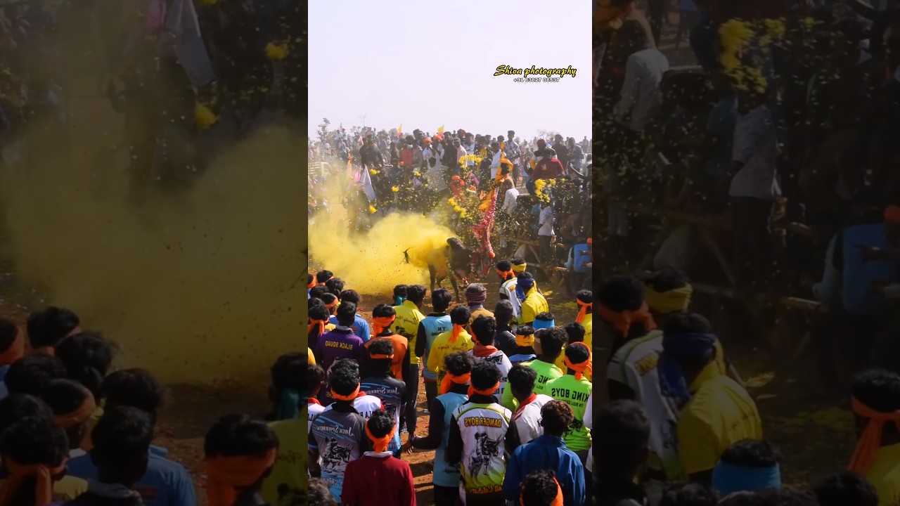 Bull Mass Performance in our Village...💥🔥💥