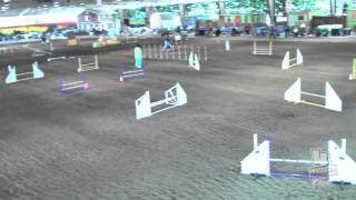 Basenji agility Max Sat Excellent JWW SCPWDC AKC May 2012