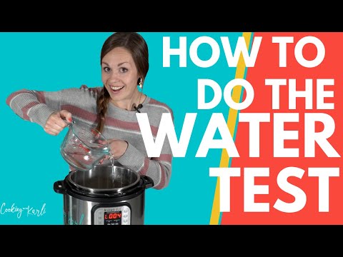Instant Pot Initial Water Test Run - Ministry of Curry