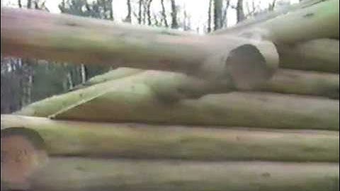 Log Building Day 3 Part 3