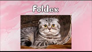All CAT BREEDS In The World (A-Z)