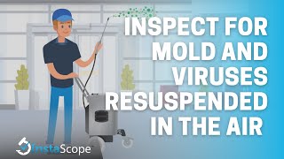 Full Sampling Kits and DIY Mold Tests Can't Find This! Guide