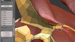 Blender F2 script retopology timelapse sample (part 2)