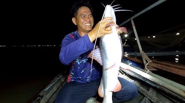 Hai Ngày Một Đêm Tìm Thuỷ Quái Trên Sông Tiền Đã Thu Phục /Đạt Nguyễn Cần Giờ