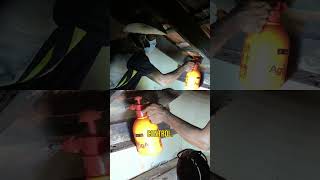 PART 4: Termites in the ceiling | Building a biotech company in backyard#garden #vlog #minivlog