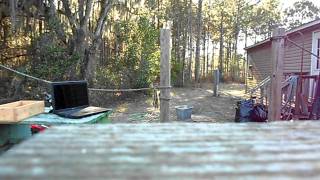 crosman phantom  mods