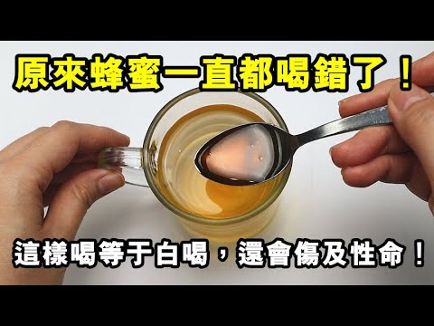 新寵兒--能歌善舞蜜糖熊