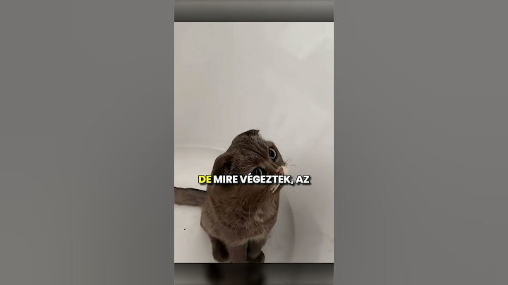 Hamu Borította Be A Cicát! 🐱 #foryou