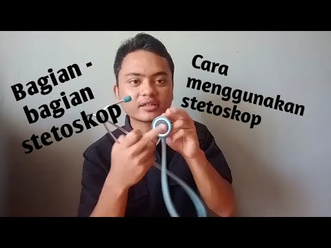 Video: Stetoskop Ungu (23 Foto): Deskripsi Stetoskop Ungu, Penanaman Dan Perawatan