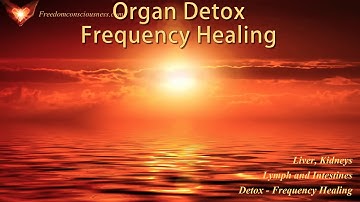 Liver,kidneys,lymph and Intestinal Detox Frequency Healing - Organ Cleanse and Detox