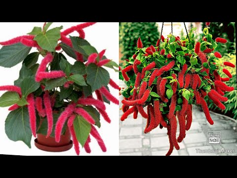 Marnay Se Pehle Allah Ko Kese Razi Krain | Maulana Tariq Jameel