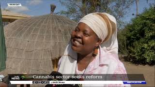 Cannabis sector seeks reform