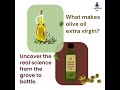What makes olive oil extra virgin?