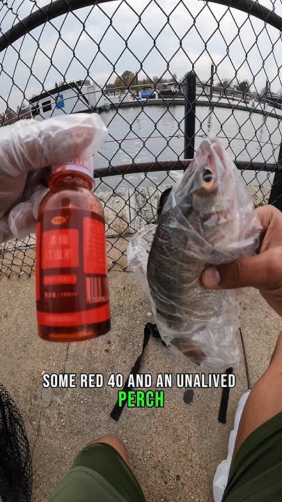 RED 40 as FISHING BAIT? 