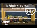 【多肉植物】多肉を飾れる棚づくり！【succulent】