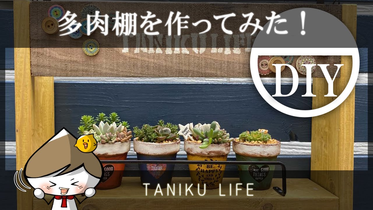 多肉植物】多肉を飾れる棚づくり!【succulent】 - YouTube 多肉植物】多肉を飾れる棚づくり!【succulent】 - YouTube