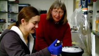 Colorado State University Biologist Rewires Plants to Detect Pollutants, Explosives