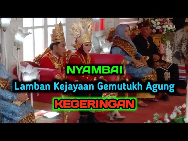 NYAMBAI || Adat Lampung || Resepsi pernikahan : JUNIALDI & APRIYANI W class=