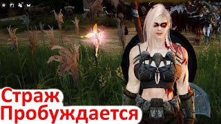 Black Desert Квест на пробуждение Стража