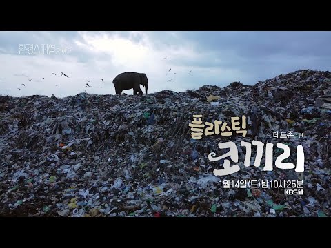 [<strong>UHD</strong> 환경스페셜2 - <strong>예고</strong>] 데드 존 1편 - 플라스틱 코끼리 | KBS 방송