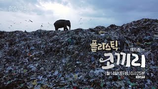 [U 환경스페셜2 - 예고] 데드 존 1편 - 플라스틱 코끼리 Kbs 방송