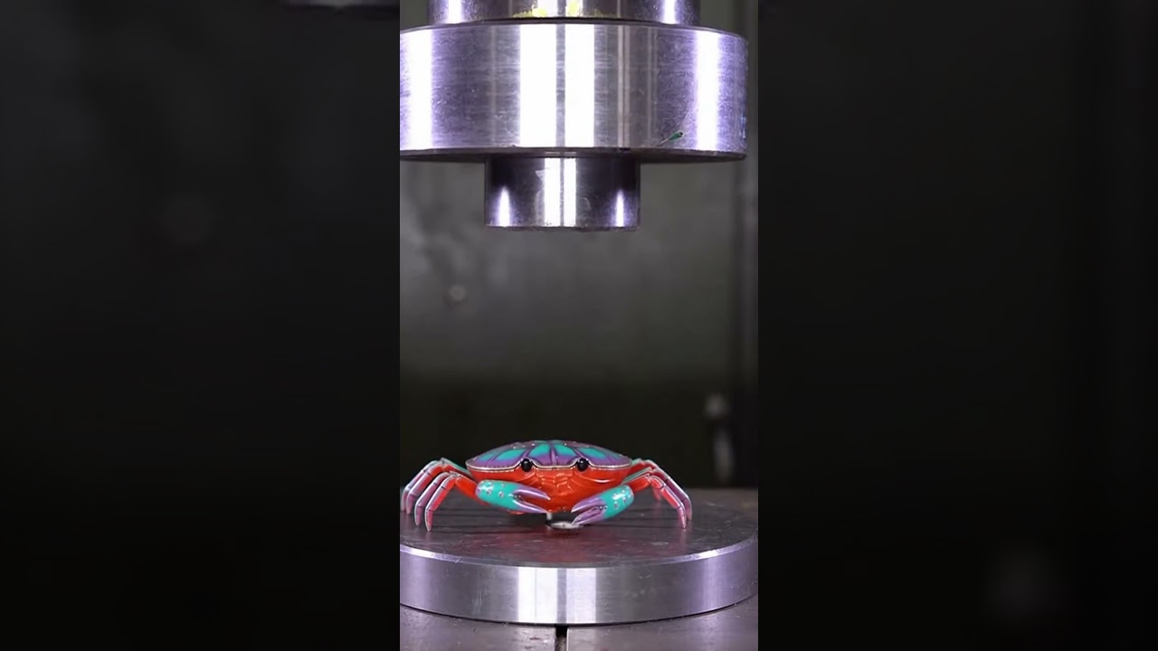 Neon Crab Gets CRUSHED!
