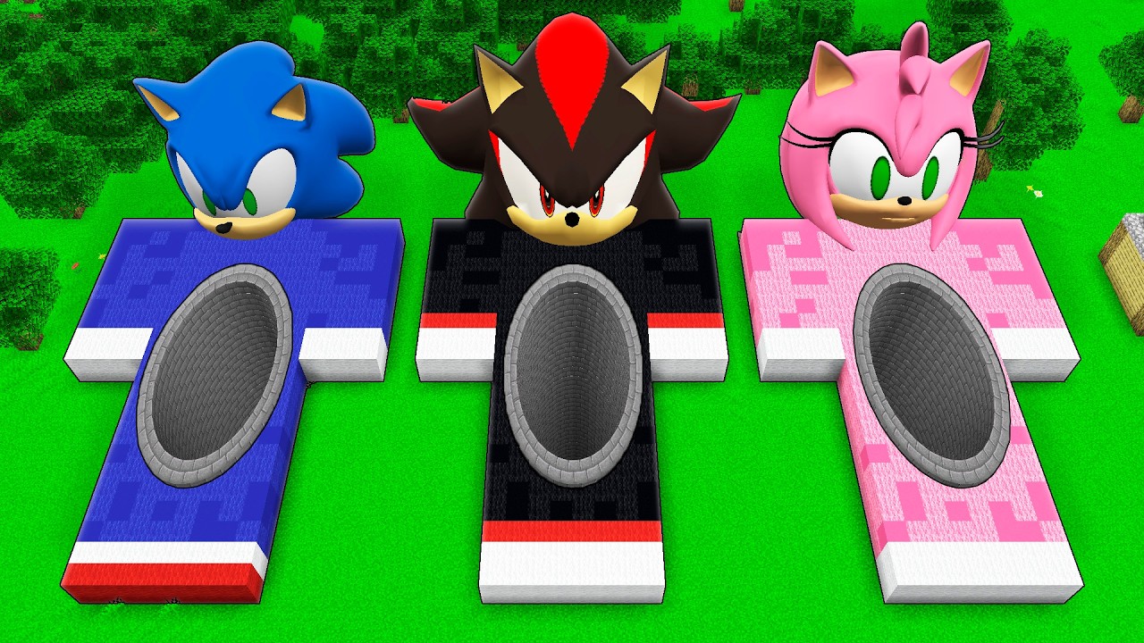 I found a SECRET PIT inside a SHADOW vs AMY in Minecraft ! What's INSIDE the SONIC ?