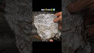 Remove Rust With Aluminium Foil 😱 #shorts #facts