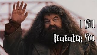 Rubeus Hagrid || I Will Remember You