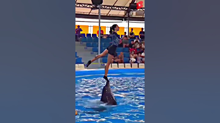 Jab Dolphin trick Me Hui Gadbad ( _@umer2m) #shortsvideo