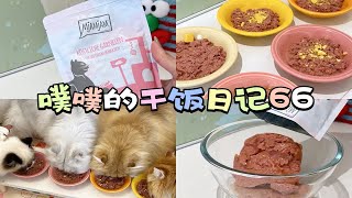 猫咪配餐Vlog.66｜今天吃mjamjam300g大餐包～ by Gu Xiaopang in the kitchen 132 views 3 months ago 2 minutes