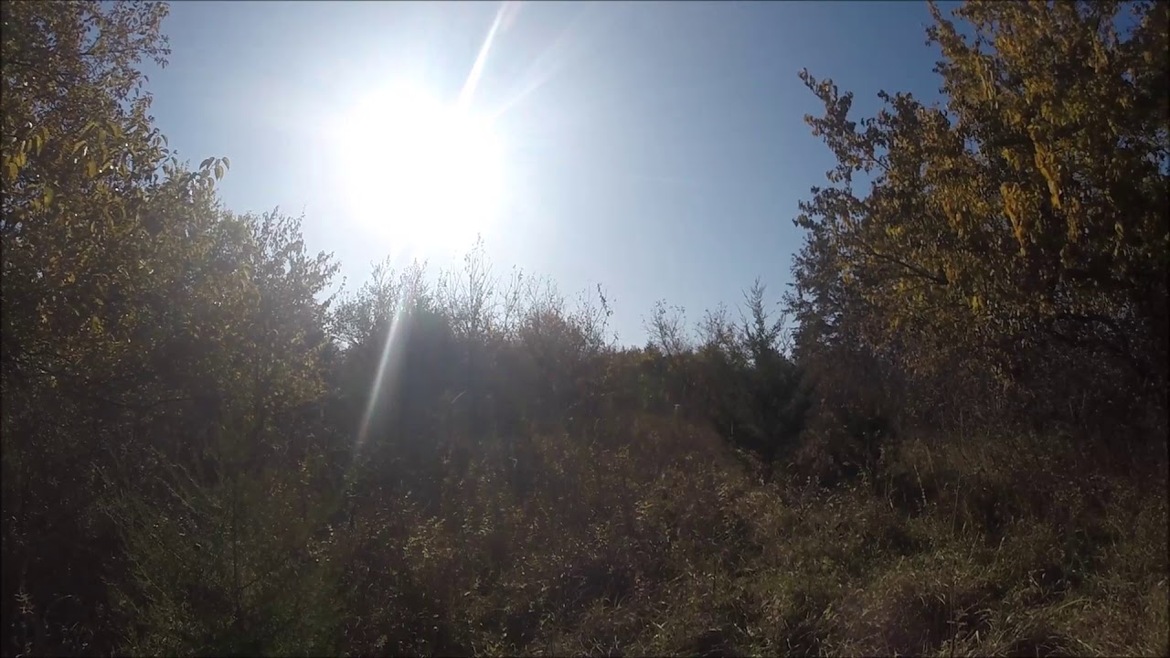 Rabbit Hunting in Kansas with Beagles 25 Oct 2019 YouTube