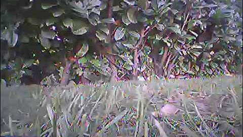 Eachine E011 with EF-02 AIO FPV, try #3