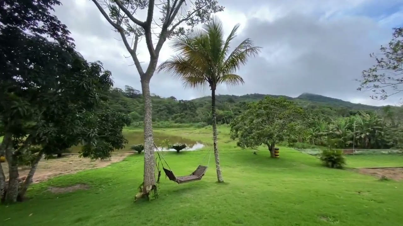 Vendido! Lindo sítio à venda em Guaramiranga com lago e vista para o Pico Alto! R$ 1,4M