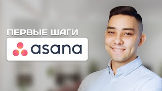 Как настроить и использовать Asana новичку. GTD?