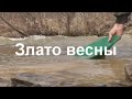 Злато весны