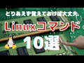 【とりあえず覚えておけば大丈夫】Linuxコマンド10選についてお話します