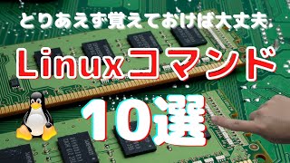 【とりあえず覚えておけば大丈夫】Linuxコマンド10選についてお話します