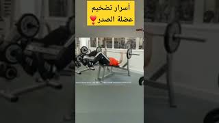 أسرار تضخيم عضلة الصدر-chest