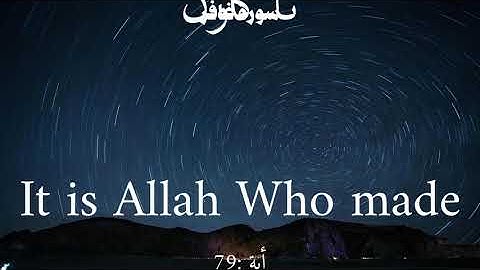 سورة غافر من الأية 78 الى 80 ياسر الدوسري