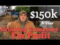 Making $150k Growing Tomatoes in 2021