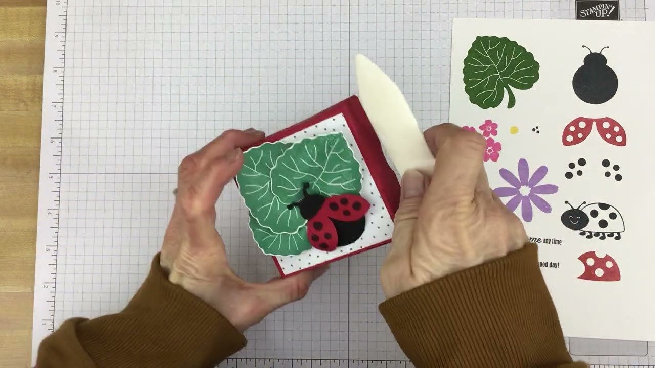 Hello Ladybug Bundle - In Detail