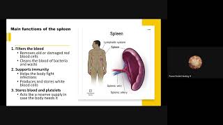 Diploma 2026 module 3 (part 02) by Chitra 🇸🇬 