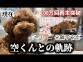 【100万回再生🎉】空くんとの出会いから現在までの軌跡