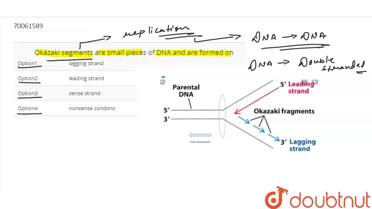 Okazaki segments are small pieces of DNA and are formed on
