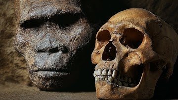 De verrassende ONTDEKKING van submenselijke fossielen op een onverwachte plek