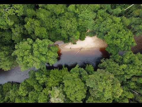 Taman Negara - National Park Malaysia Cinematic Travel video
